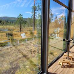 Blick aus dem Naturum