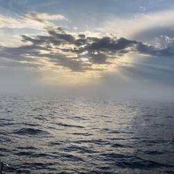 Nebel: wunderschön und gefährlich