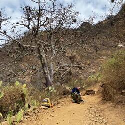 Wir machen viele Pausen