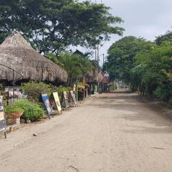 Auf der Hauptstrasse in Palomino ist morgens wenig los 🤣!