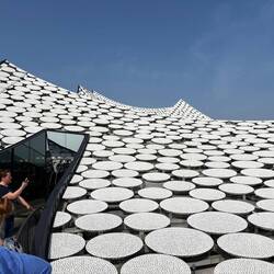 Wellenform der Dächer und stilisierte weisse Seerosen...