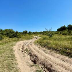 Der Aufstieg zur Statue hatte es in sich.