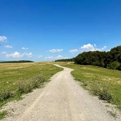 auf dem Weg nach Dealu