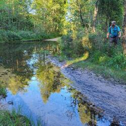 Wolli schlägt sich durch's Gebüsch!😅