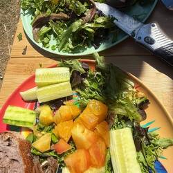 Repas fraîcheur chaque jour au cul du fourgon, simples et délicieux