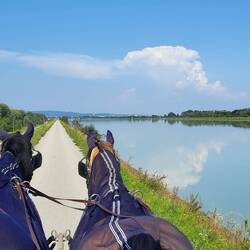 Hier ist konzentriertes Fahren angesagt! Jeder Fehltritt nach rechts oder links wäre fatal!