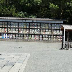 Saki Barrels