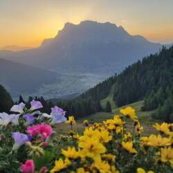 Beim Morgenkaffee. Magisch...