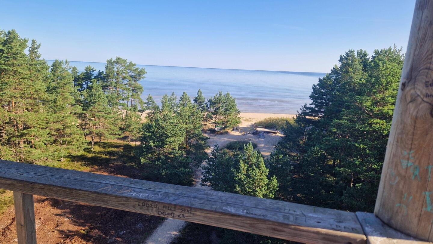 Aussicht vom Turm am Kap