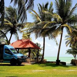 Beautiful camping spot in Calderitas. With your own palapa (red roof hut) next to the sea.