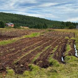 Rares Bild hier oben: Ackerbau.