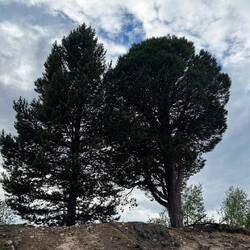 Eine Familie, zwei Frisöre.