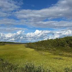 Sumpfig-nass-grün-blau-weiß-schön.