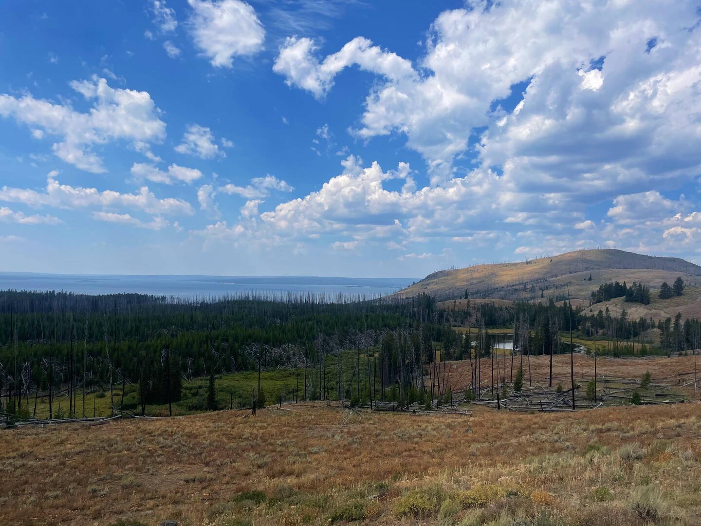 Letzter Blick auf den Yellowstone Lake
