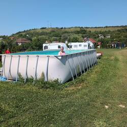 Pool mit Maus 😊🐭