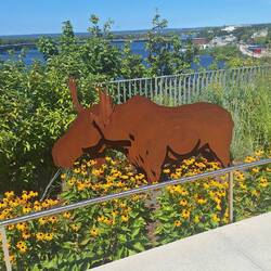 ...and mooses!! 😁