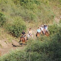 Unsere Gruppe / Our group