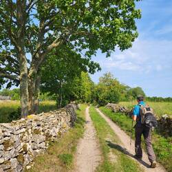Wir nähern uns der Zivilisation.