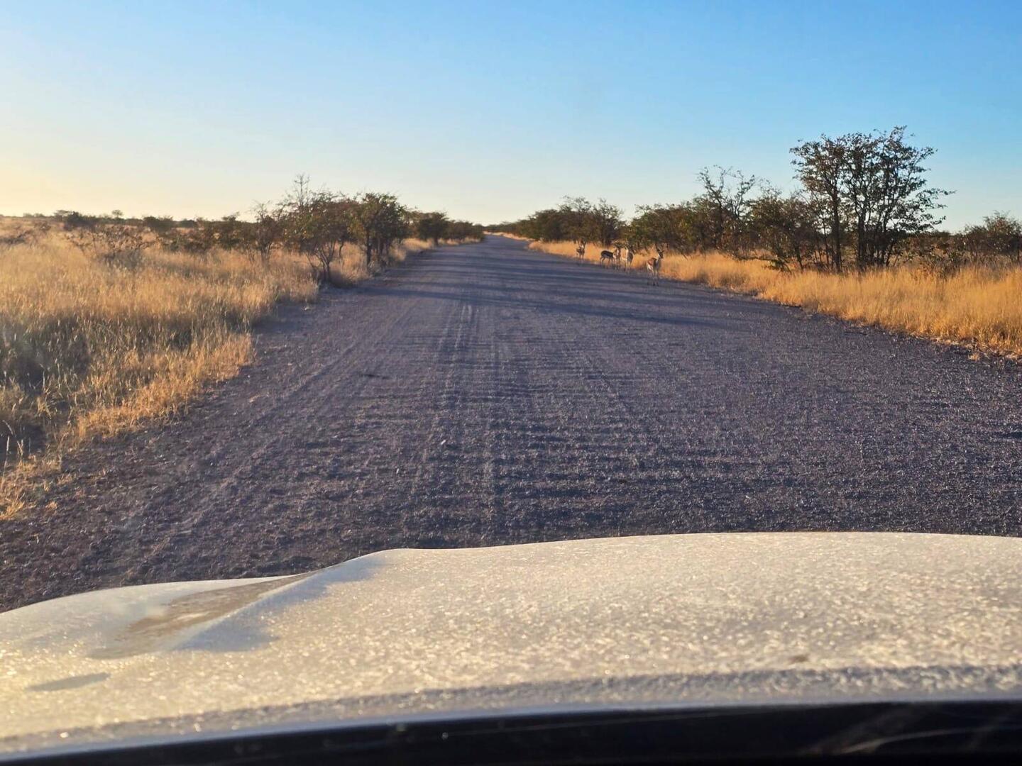 Das ist Frost ❄️