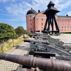 Schloss Uppsala