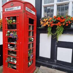 Lots of flowers brightened the place up