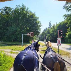 Die Ampel hängt zu tief für unseren Wagen...