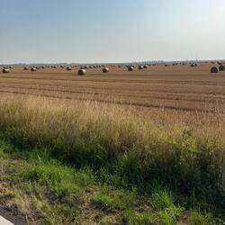 Weites Land
