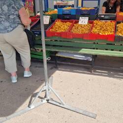 Pfifferlinge im Übermaß