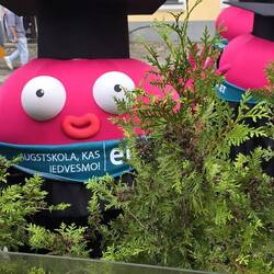 Master Party auf lettisch😂