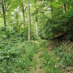 Ein Bisschen Trail ist auch wieder dabei