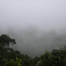 Mirador