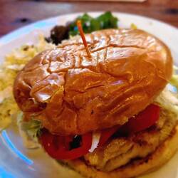 The O.G. Grouper Grill (gegrillter Zackenbarsch), eines der Signature Dishes in Florida