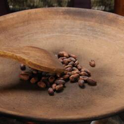 Nach dem Trocknen werden die Kakaobohnen geröstet.