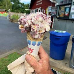 Guido sagt ja ☺️