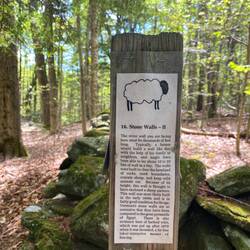 Super schöne Wanderung zum "Pinnacle Gipfel"