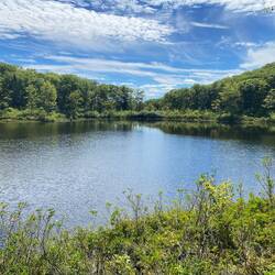 Anne Stolles Loop; in den 1930ern war hier eine Party Szene.. der wohlhabenden