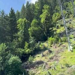die Seilbahn überwindet in wenigen Minuten 440 HM