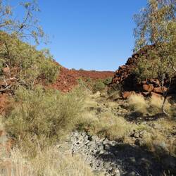 Area where Petroglyphs are found
