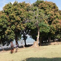 Pause muß auch mal sein