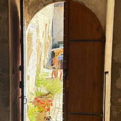 Pendant que nous visitons l'abbaye, Cannelle toujours si mignonne attend sagement à l'entrée ! 😍