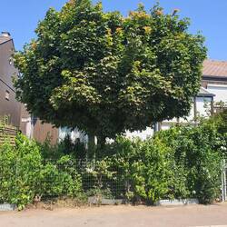 ...90 Minuten später