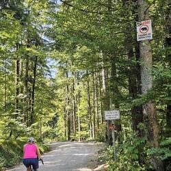 Achtung Bären Revier 🐻