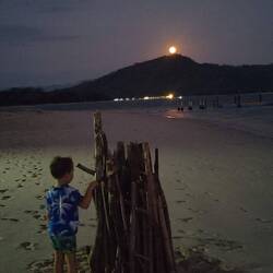 Préparation du feu de joie avec le lever de lune