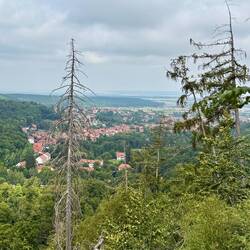 Blick auf Ilsenburg