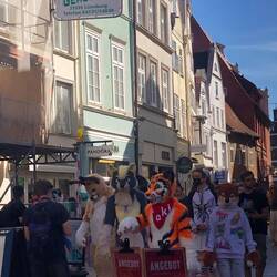 Was zieht da durch Lüneburg?