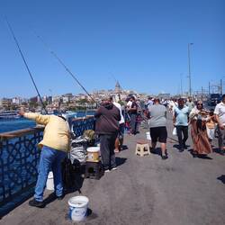 Loads of people fishing, decent size fish too