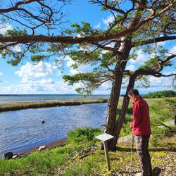 Wolli liest gerade etwas über Seeadler.