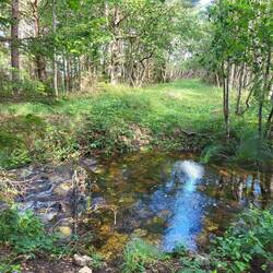 Hier geht es heute für uns nicht weiter!