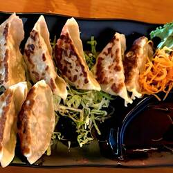 Gyoza
