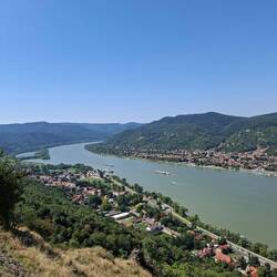 Donauknie